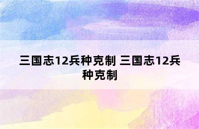 三国志12兵种克制 三国志12兵种克制